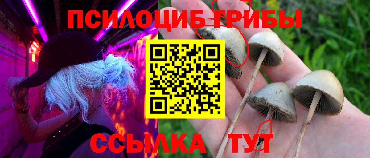 Псилоцибиновые грибы Cubensis  Псилоцибиновые грибы мухоморы  Вход с VPN  Малгобек 